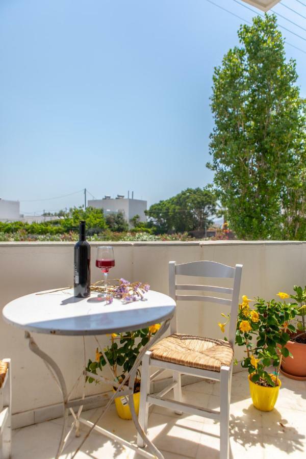 Apanemi Beachhouse Naxos City ภายนอก รูปภาพ